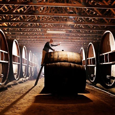Pieter Van Gent Winery & Vineyard Budgee Budgee Exterior foto